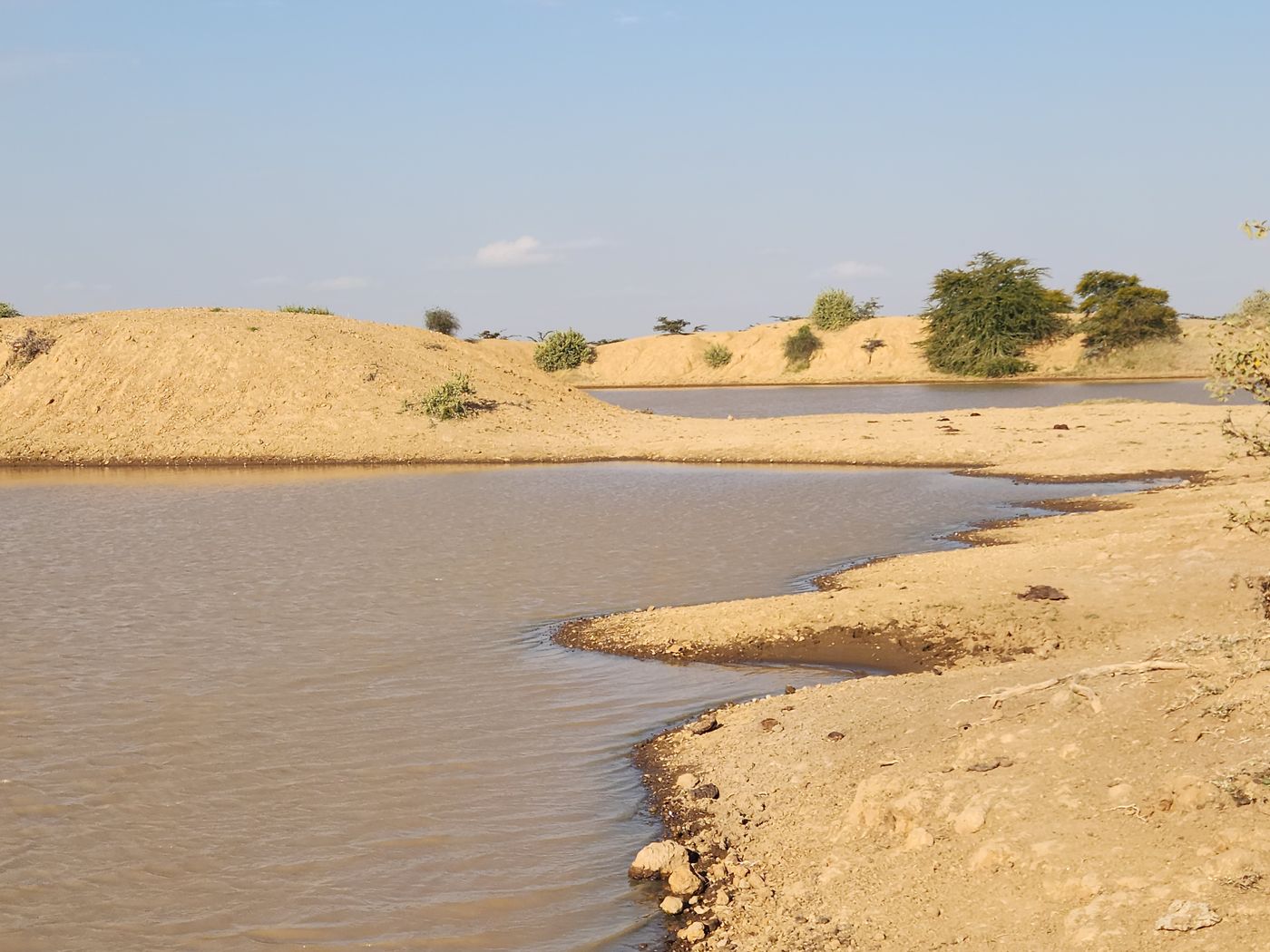 Shallow river winding between sandy banks and scattered shrubs in a dryland landscape